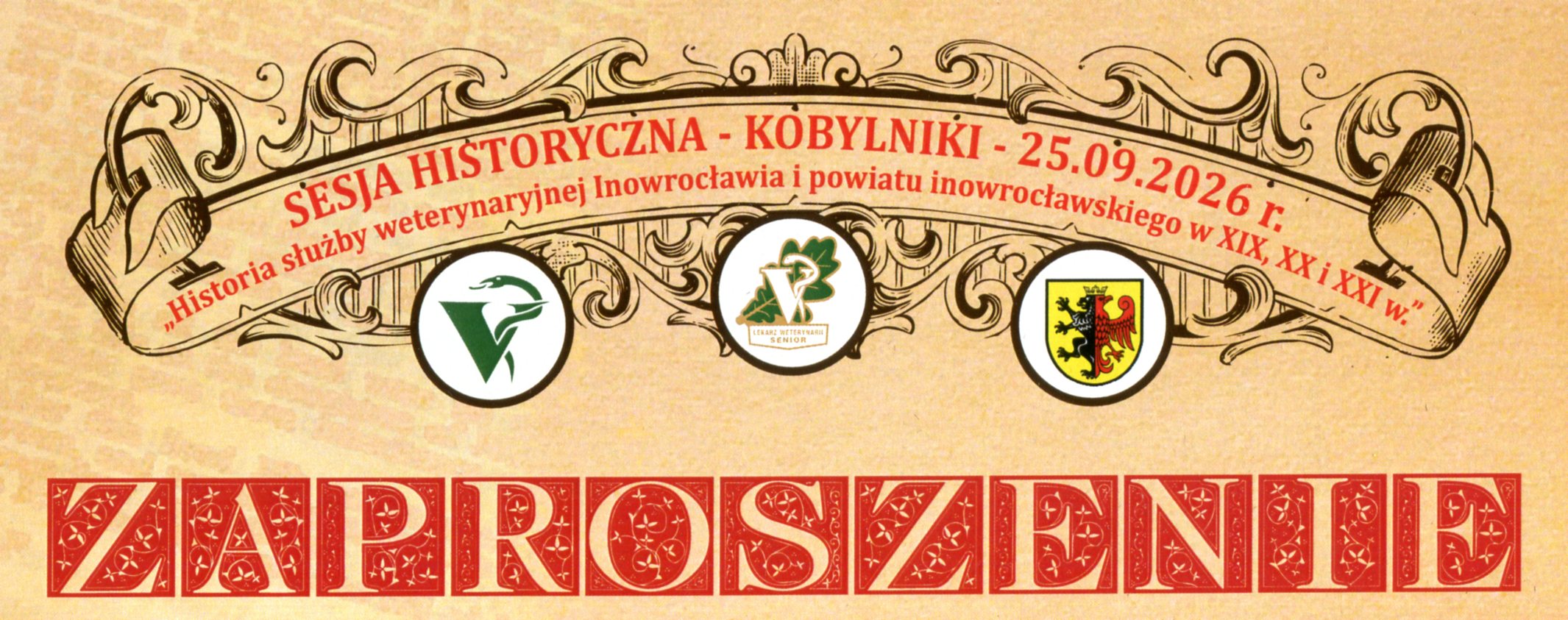 main banner image